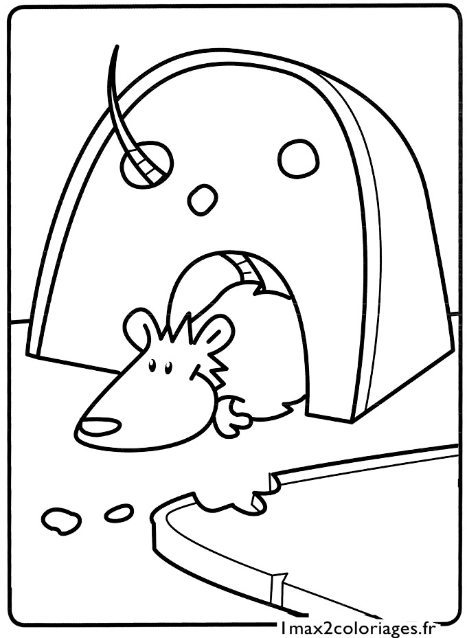 Disegno da colorare: Ratto (Animali) #15184 - Pagine da Colorare Stampabili Gratuite