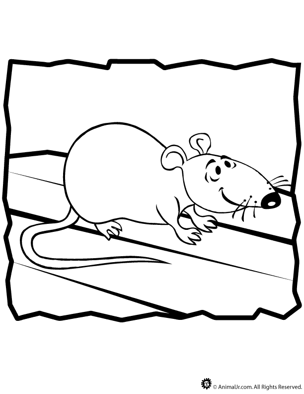Disegno da colorare: Ratto (Animali) #15202 - Pagine da Colorare Stampabili Gratuite