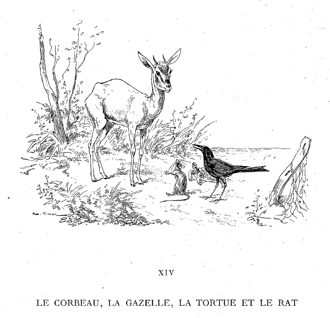 Disegno da colorare: Ratto (Animali) #15204 - Pagine da Colorare Stampabili Gratuite