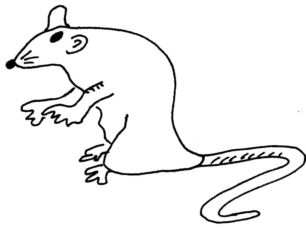 Disegno da colorare: Ratto (Animali) #15242 - Pagine da Colorare Stampabili Gratuite