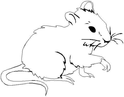 Disegno da colorare: Ratto (Animali) #15249 - Pagine da Colorare Stampabili Gratuite