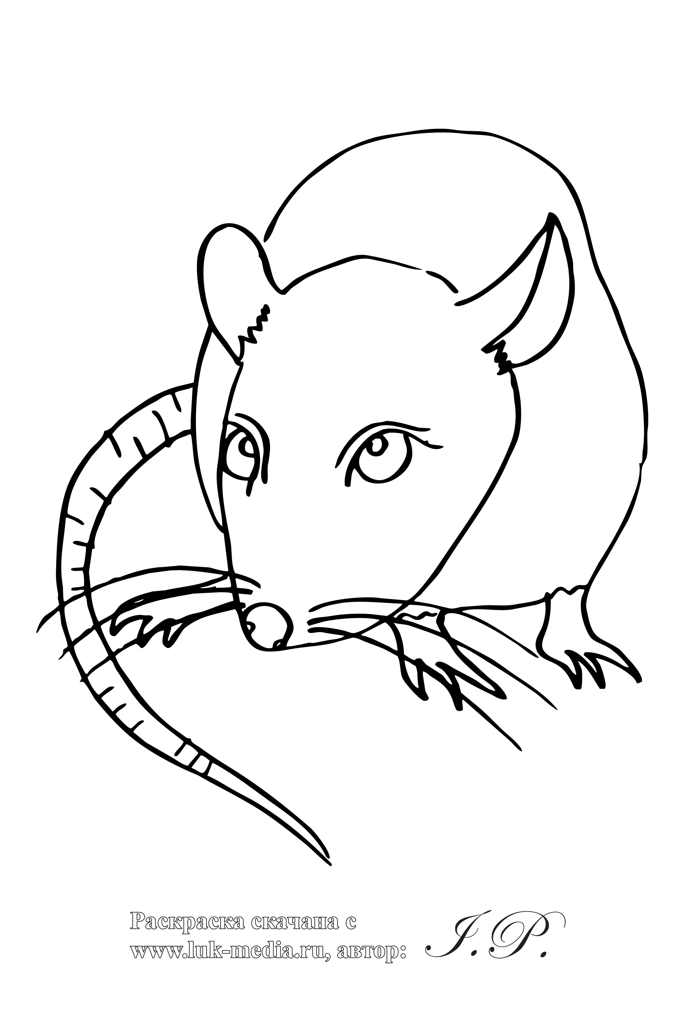 Disegno da colorare: Ratto (Animali) #15264 - Pagine da Colorare Stampabili Gratuite