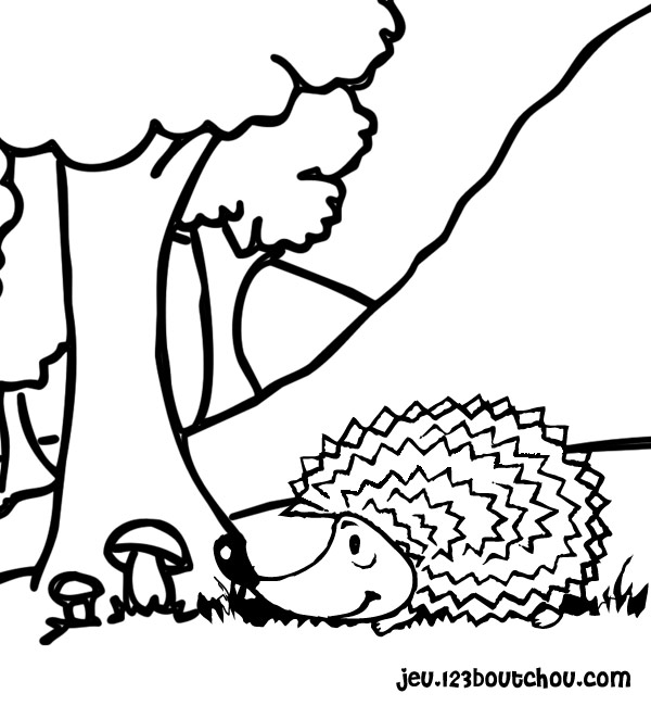 Disegno da colorare: Riccio (Animali) #8225 - Pagine da Colorare Stampabili Gratuite