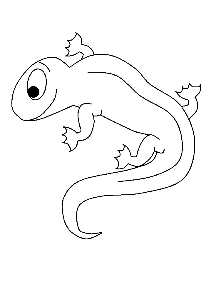 Disegno da colorare: Salamandra (Animali) #19906 - Pagine da Colorare Stampabili Gratuite