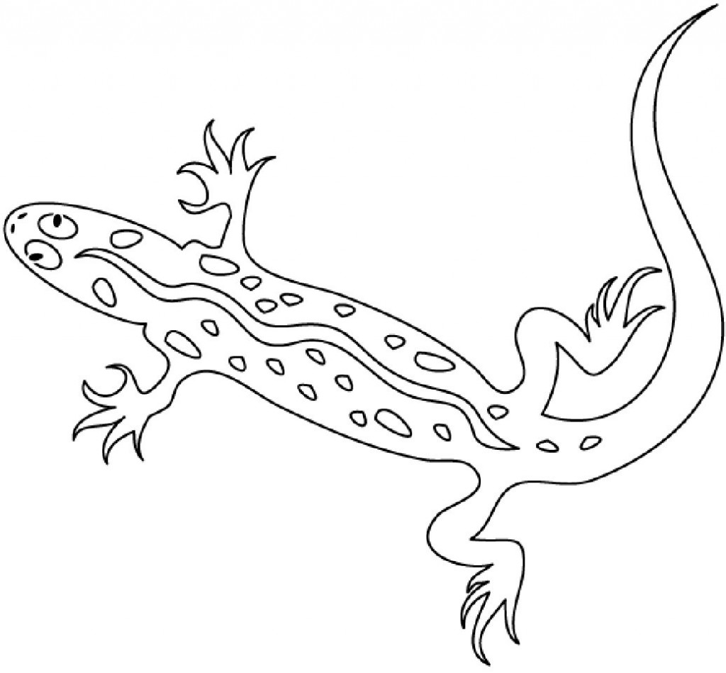 Disegno da colorare: Salamandra (Animali) #19930 - Pagine da Colorare Stampabili Gratuite