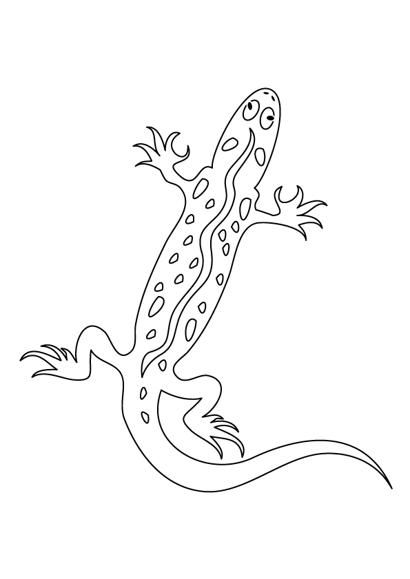 Disegno da colorare: Salamandra (Animali) #19946 - Pagine da Colorare Stampabili Gratuite