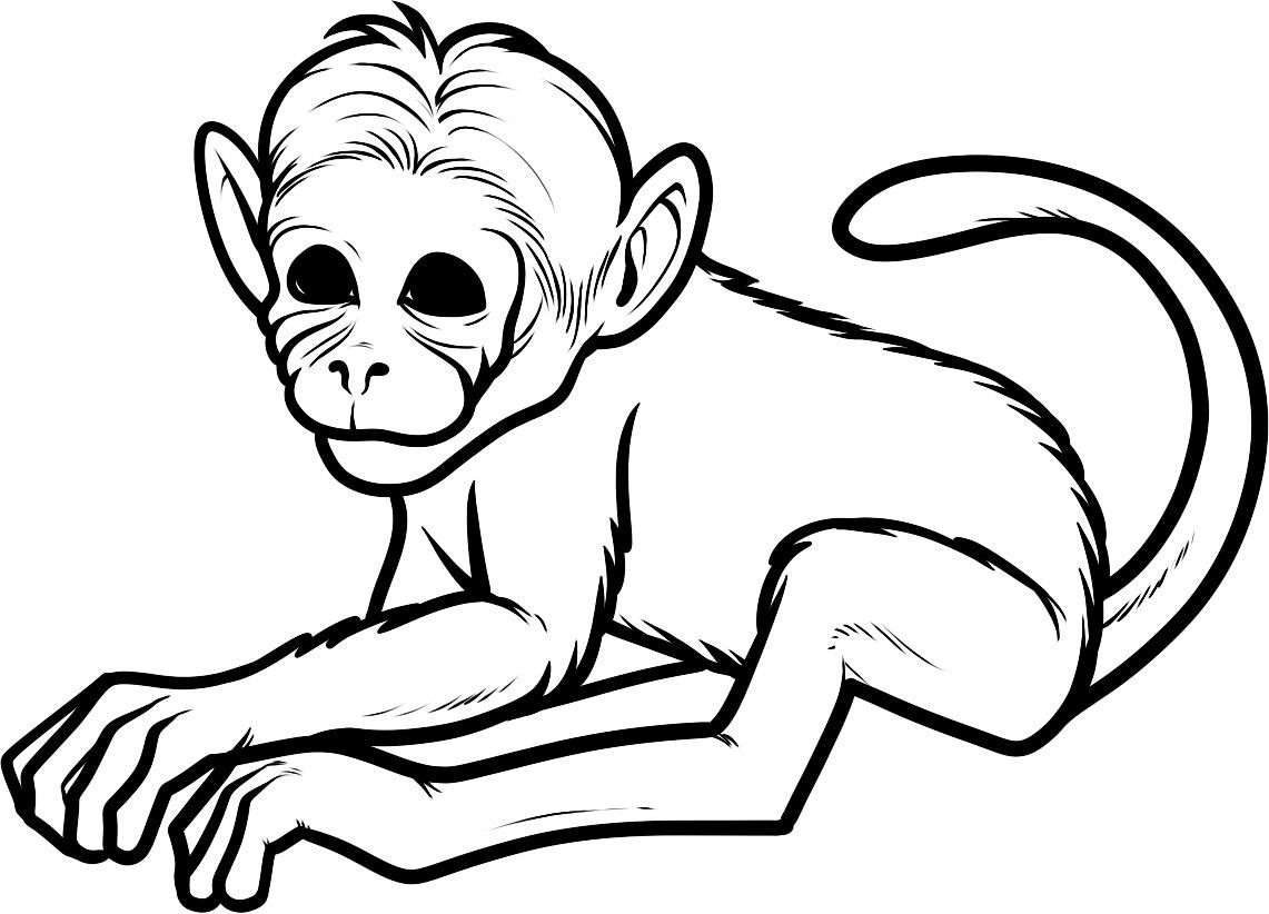 Disegno da colorare: Scimmia (Animali) #14142 - Pagine da Colorare Stampabili Gratuite