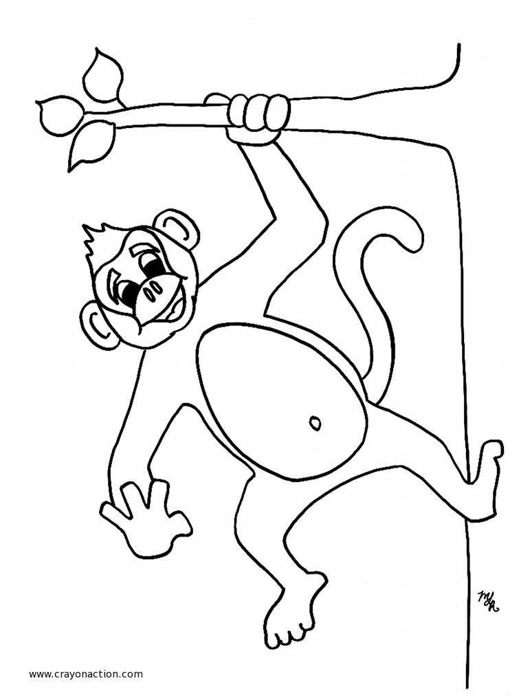 Disegno da colorare: Scimmia (Animali) #14155 - Pagine da Colorare Stampabili Gratuite