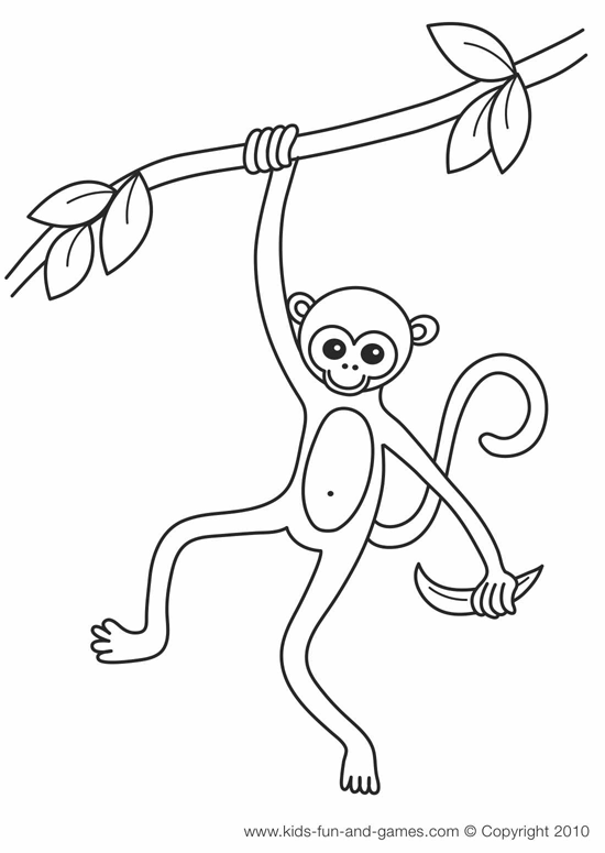 Disegno da colorare: Scimmia (Animali) #14184 - Pagine da Colorare Stampabili Gratuite