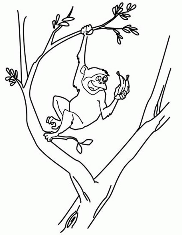 Disegno da colorare: Scimmia (Animali) #14230 - Pagine da Colorare Stampabili Gratuite