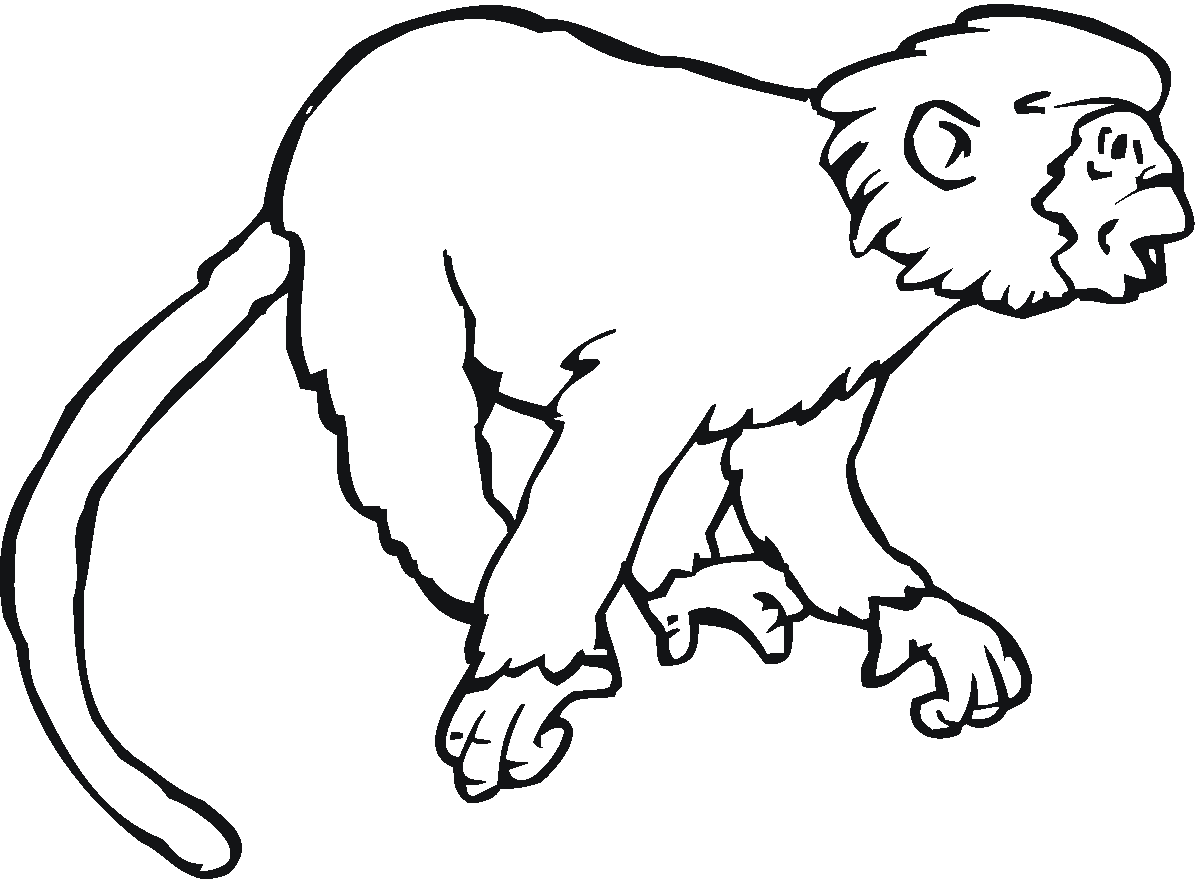 Disegno da colorare: Scimmia (Animali) #14241 - Pagine da Colorare Stampabili Gratuite