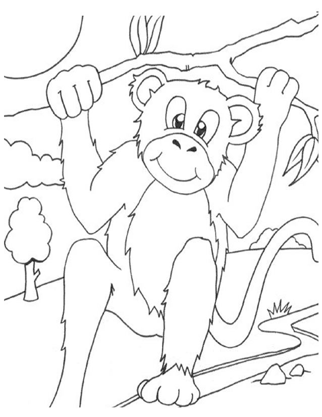 Disegno da colorare: Scimmia (Animali) #14252 - Pagine da Colorare Stampabili Gratuite