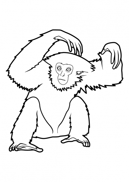 Disegno da colorare: Scimmia (Animali) #14261 - Pagine da Colorare Stampabili Gratuite