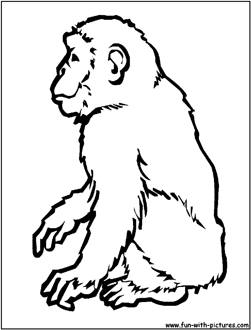 Disegno da colorare: Scimpanzé (Animali) #2794 - Pagine da Colorare Stampabili Gratuite