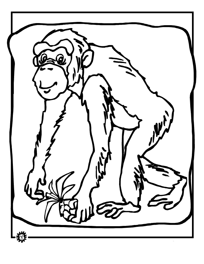 Disegno da colorare: Scimpanzé (Animali) #2798 - Pagine da Colorare Stampabili Gratuite