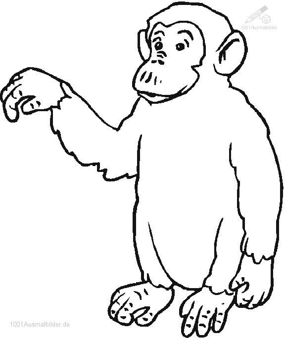 Disegno da colorare: Scimpanzé (Animali) #2805 - Pagine da Colorare Stampabili Gratuite