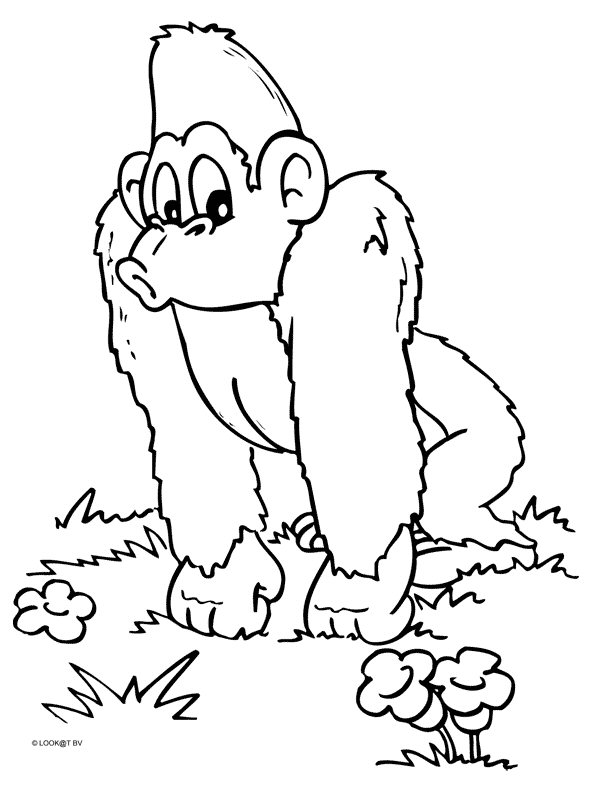 Disegno da colorare: Scimpanzé (Animali) #2826 - Pagine da Colorare Stampabili Gratuite