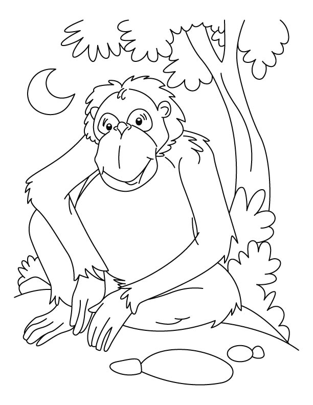 Disegno da colorare: Scimpanzé (Animali) #2827 - Pagine da Colorare Stampabili Gratuite