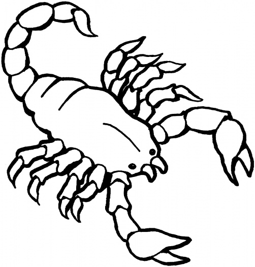 Disegno da colorare: Scorpione (Animali) #14549 - Pagine da Colorare Stampabili Gratuite