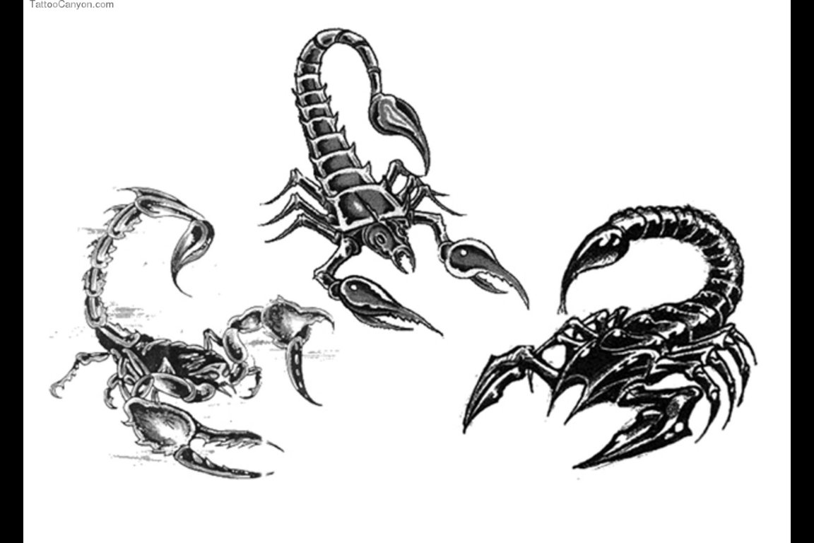Disegno da colorare: Scorpione (Animali) #14572 - Pagine da Colorare Stampabili Gratuite