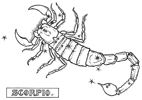Disegno da colorare: Scorpione (Animali) #14596 - Pagine da Colorare Stampabili Gratuite
