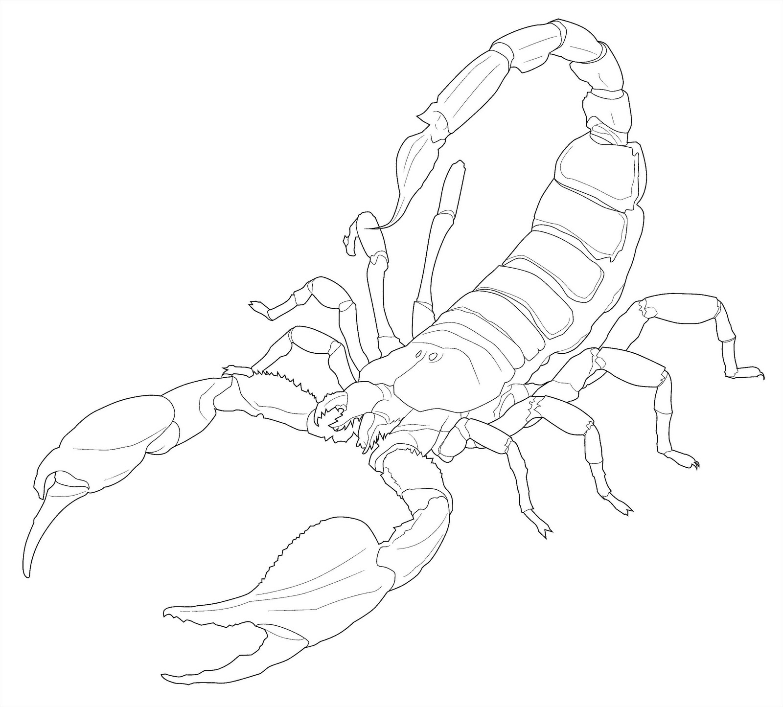 Disegno da colorare: Scorpione (Animali) #14624 - Pagine da Colorare Stampabili Gratuite