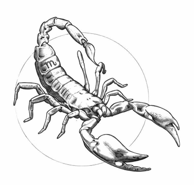 Disegno da colorare: Scorpione (Animali) #14633 - Pagine da Colorare Stampabili Gratuite