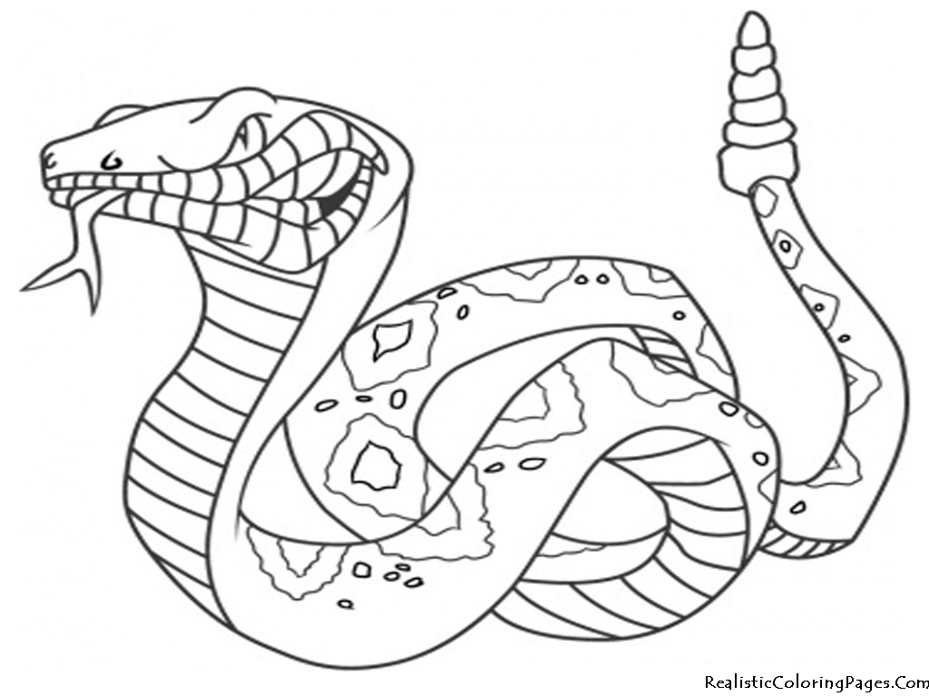 Disegno da colorare: Serpente (Animali) #14342 - Pagine da Colorare Stampabili Gratuite