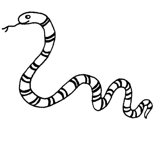 Disegno da colorare: Serpente (Animali) #14349 - Pagine da Colorare Stampabili Gratuite