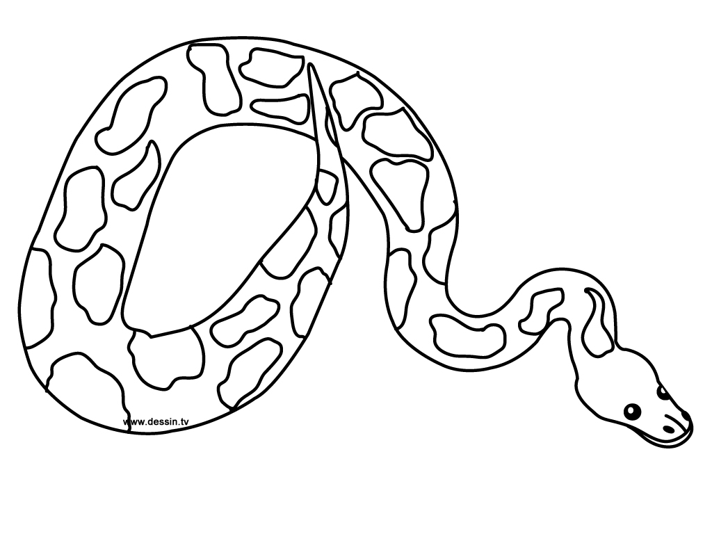 Disegno da colorare: Serpente (Animali) #14352 - Pagine da Colorare Stampabili Gratuite