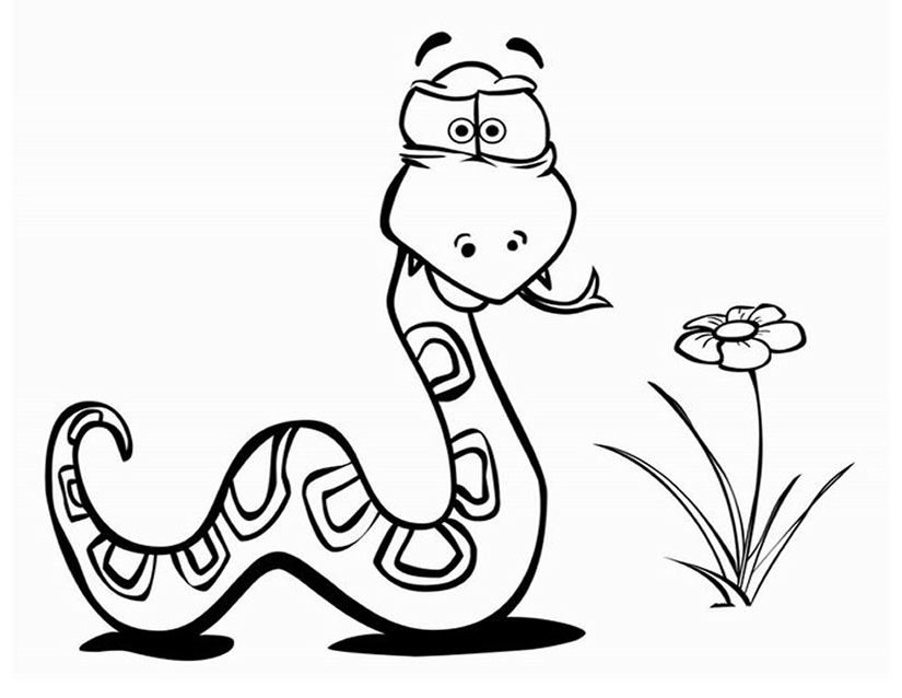Disegno da colorare: Serpente (Animali) #14356 - Pagine da Colorare Stampabili Gratuite