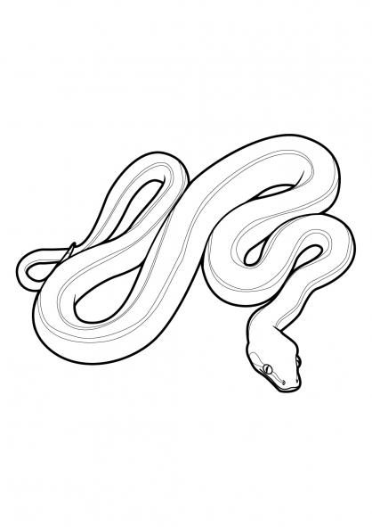 Disegno da colorare: Serpente (Animali) #14358 - Pagine da Colorare Stampabili Gratuite