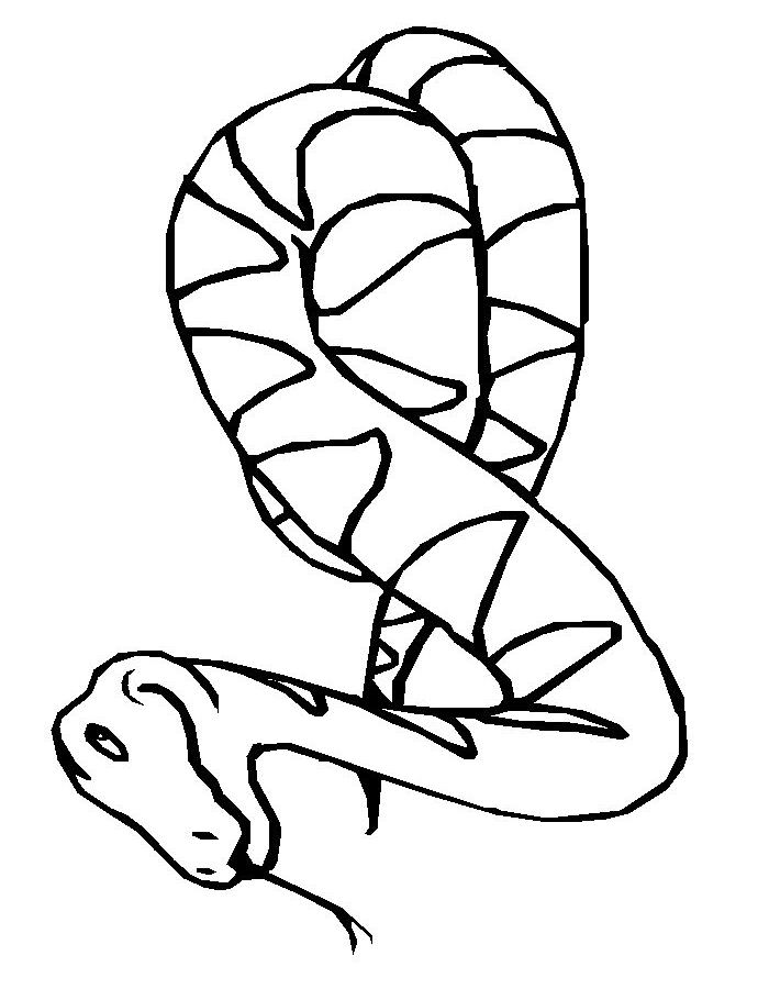 Disegno da colorare: Serpente (Animali) #14360 - Pagine da Colorare Stampabili Gratuite