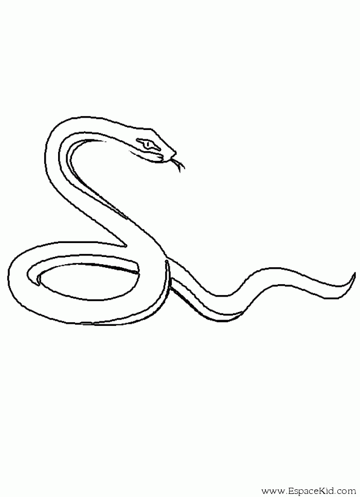 Disegno da colorare: Serpente (Animali) #14365 - Pagine da Colorare Stampabili Gratuite