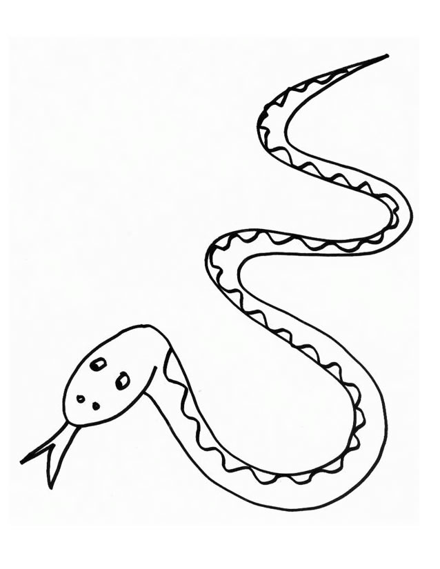 Disegno da colorare: Serpente (Animali) #14370 - Pagine da Colorare Stampabili Gratuite
