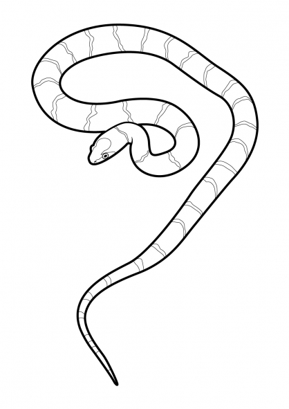 Disegno da colorare: Serpente (Animali) #14410 - Pagine da Colorare Stampabili Gratuite