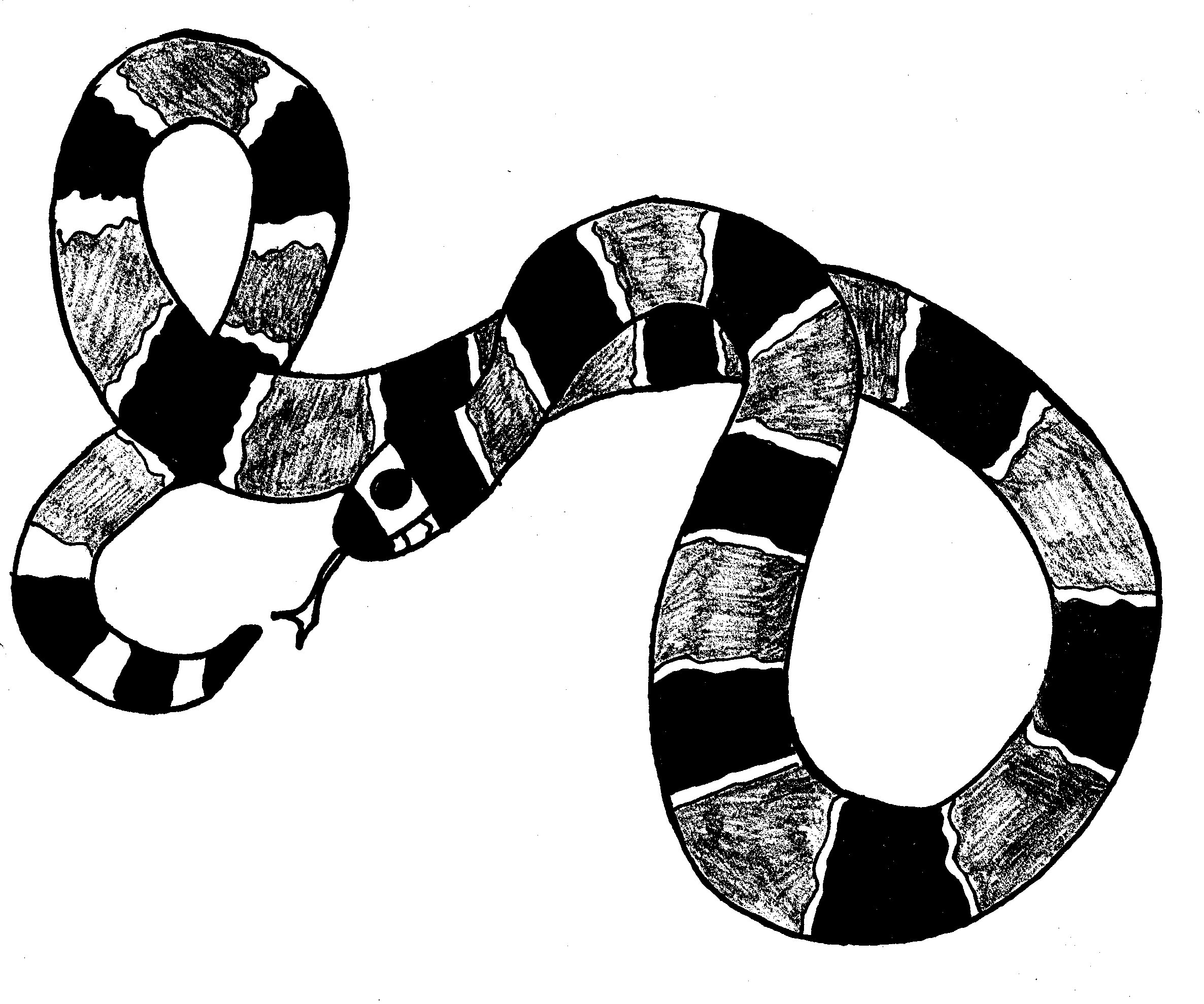 Disegno da colorare: Serpente (Animali) #14426 - Pagine da Colorare Stampabili Gratuite