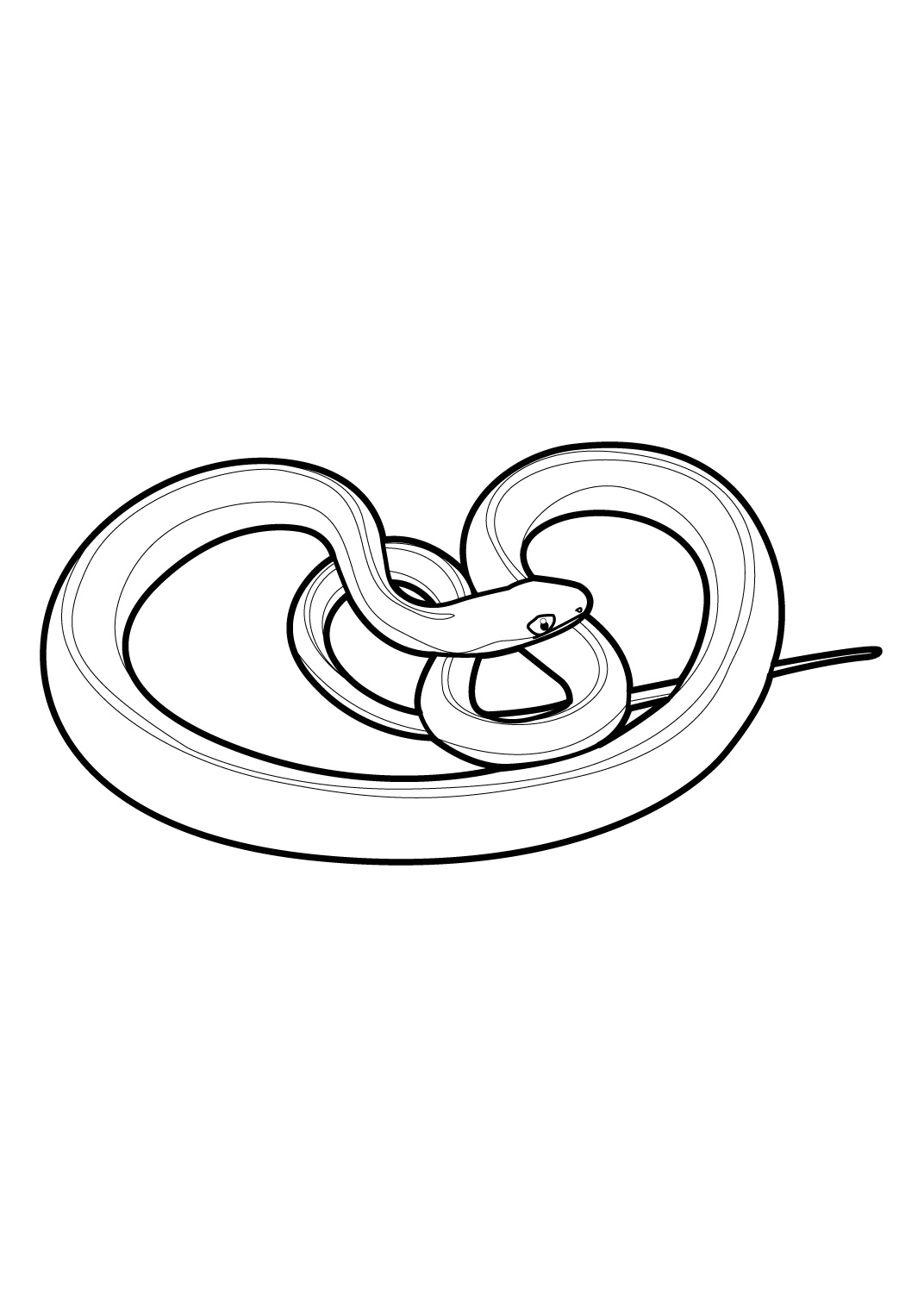 Disegno da colorare: Serpente (Animali) #14430 - Pagine da Colorare Stampabili Gratuite