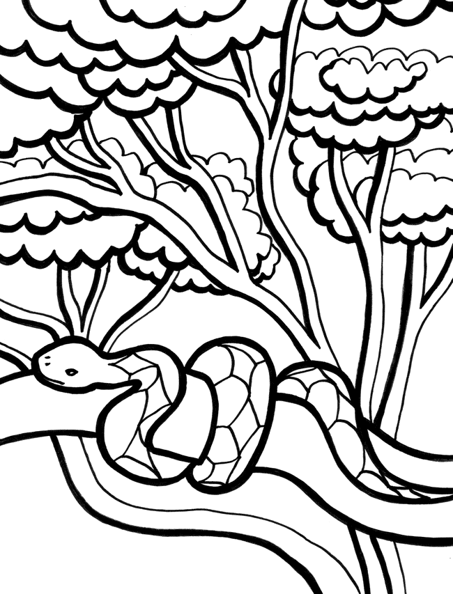 Disegno da colorare: Serpente (Animali) #14453 - Pagine da Colorare Stampabili Gratuite