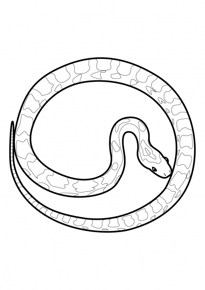 Disegno da colorare: Serpente (Animali) #14482 - Pagine da Colorare Stampabili Gratuite