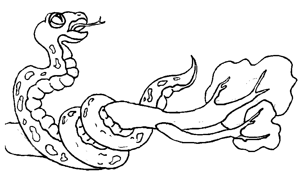 Disegno da colorare: Serpente (Animali) #14502 - Pagine da Colorare Stampabili Gratuite
