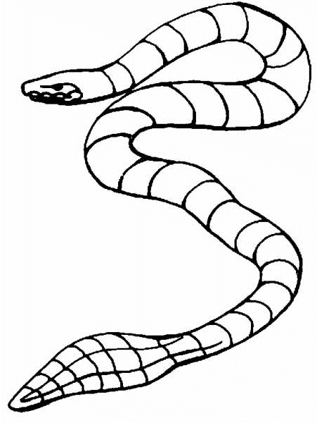 Disegno da colorare: Serpente (Animali) #14512 - Pagine da Colorare Stampabili Gratuite