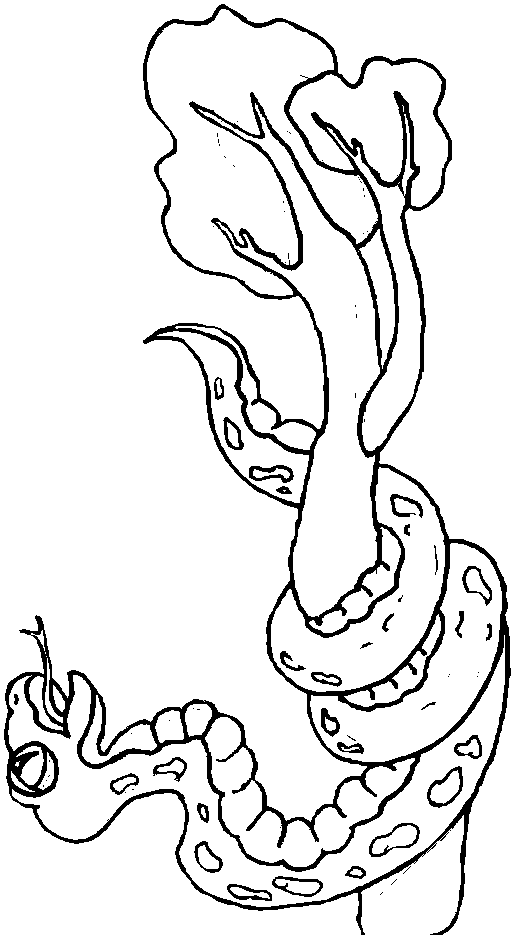 Disegno da colorare: Serpente (Animali) #14525 - Pagine da Colorare Stampabili Gratuite