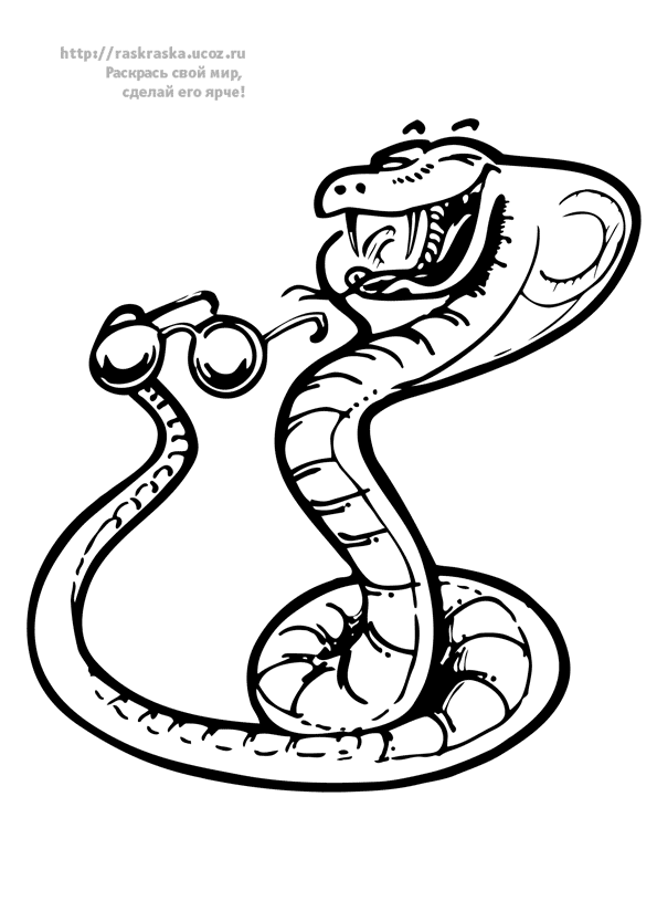 Disegno da colorare: Serpente (Animali) #14536 - Pagine da Colorare Stampabili Gratuite