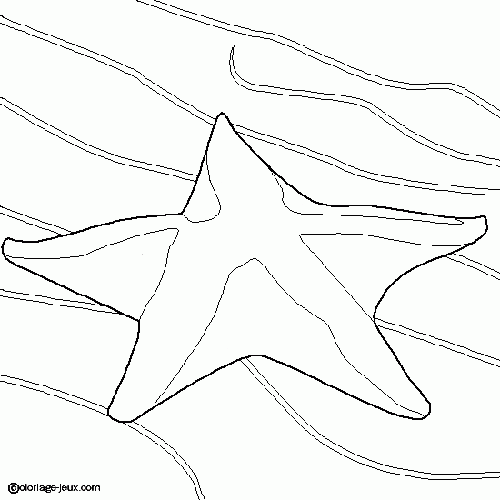 Disegno da colorare: Stella marina (Animali) #6715 - Pagine da Colorare Stampabili Gratuite