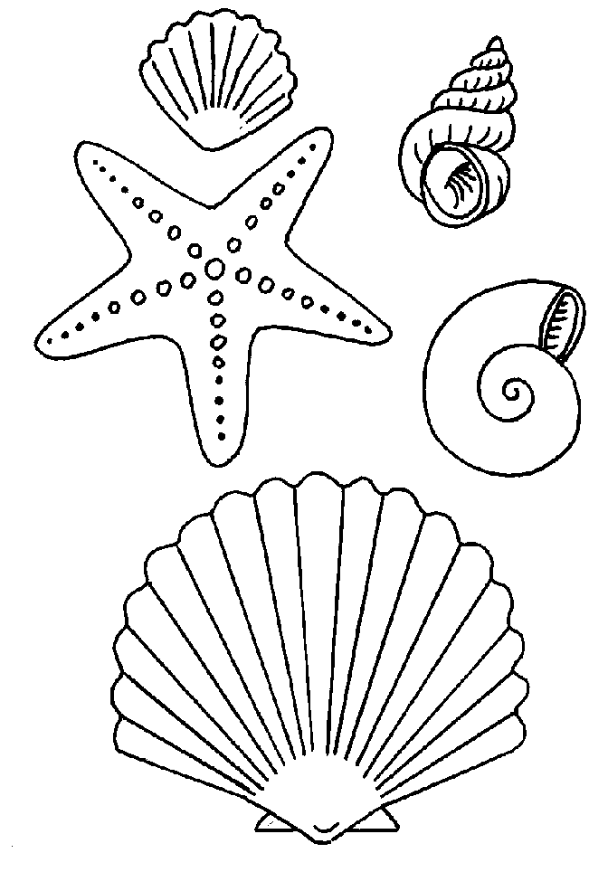 Disegno da colorare: Stella marina (Animali) #6794 - Pagine da Colorare Stampabili Gratuite