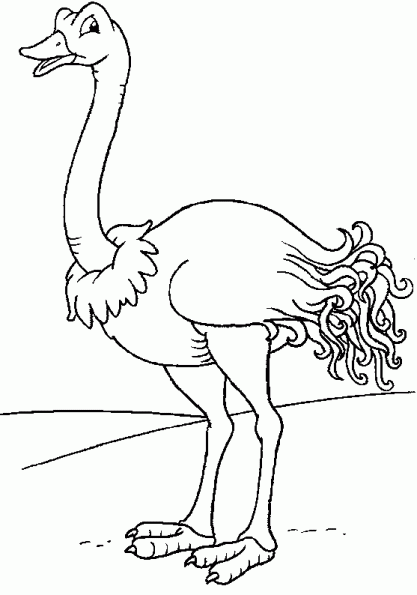 Disegno da colorare: Struzzo (Animali) #677 - Pagine da Colorare Stampabili Gratuite