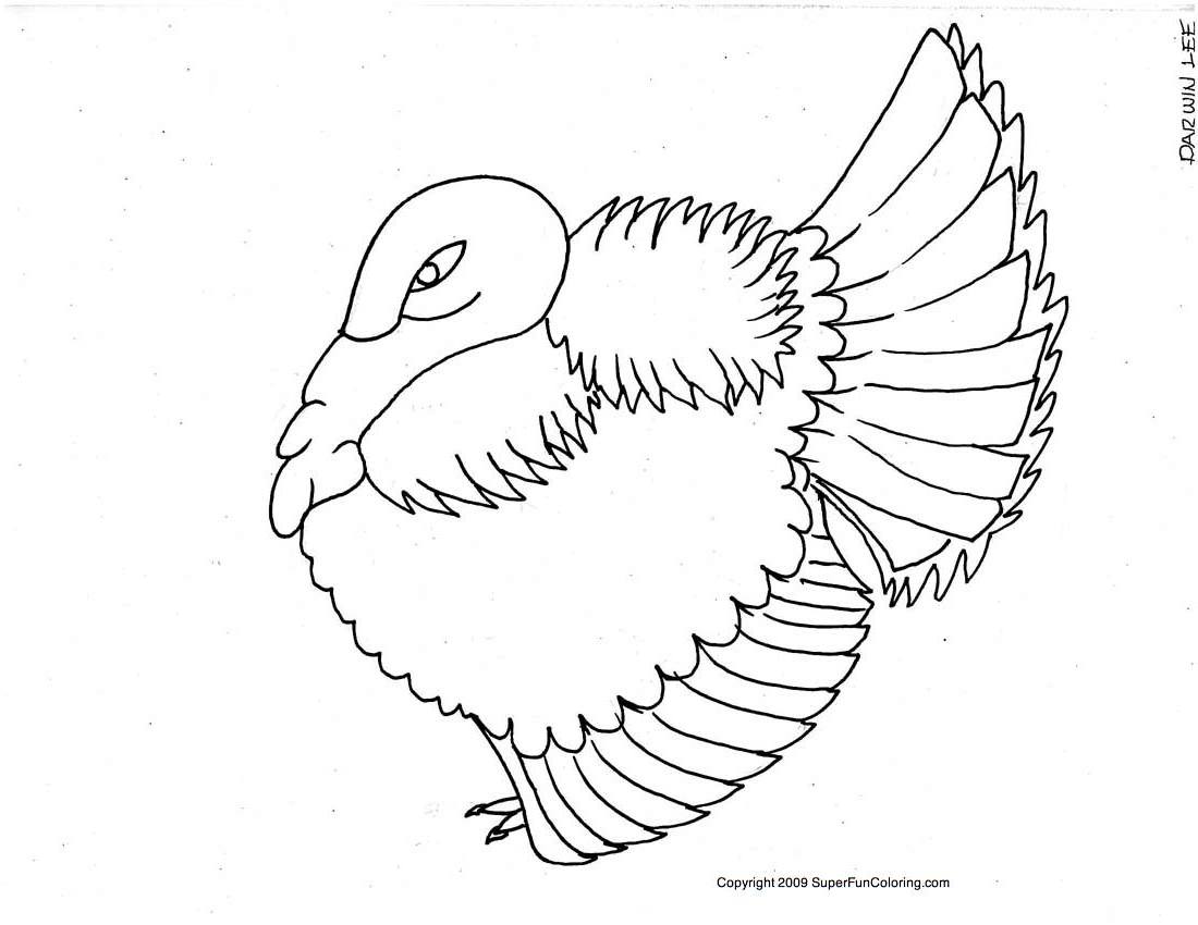 Disegno da colorare: Tacchino (Animali) #5353 - Pagine da Colorare Stampabili Gratuite