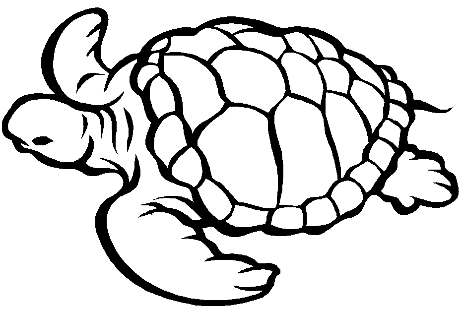 Disegno da colorare: Tartaruga (Animali) #13390 - Pagine da Colorare Stampabili Gratuite