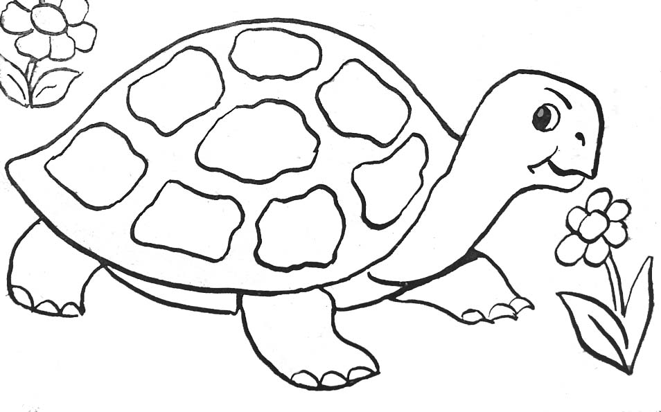 Disegno da colorare: Tartaruga (Animali) #13391 - Pagine da Colorare Stampabili Gratuite